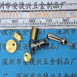 供應(yīng)廣東小五金件加工 偏心輪 電機(jī)配件 自動車床件加工 深圳市安捷興五金制品廠 銅柱,鉚釘